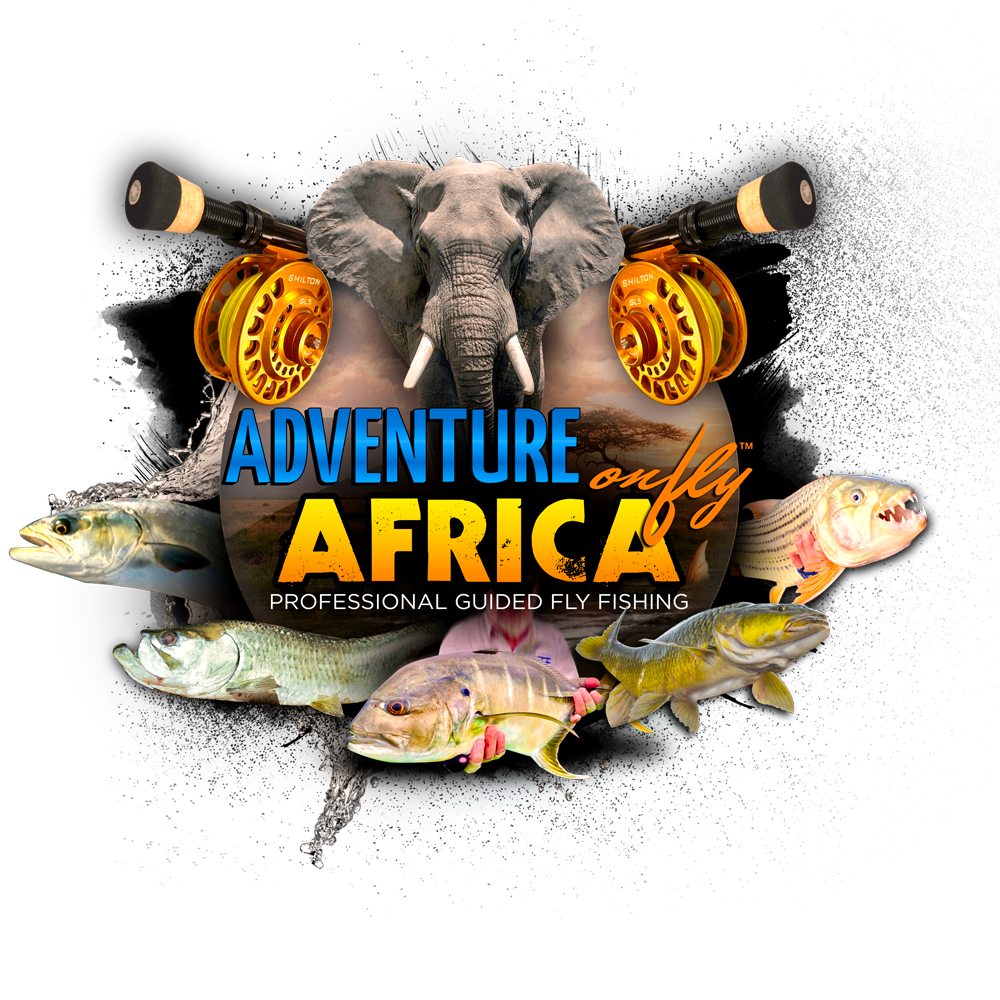 aof-africa-website-versionv3.png (1 MB)