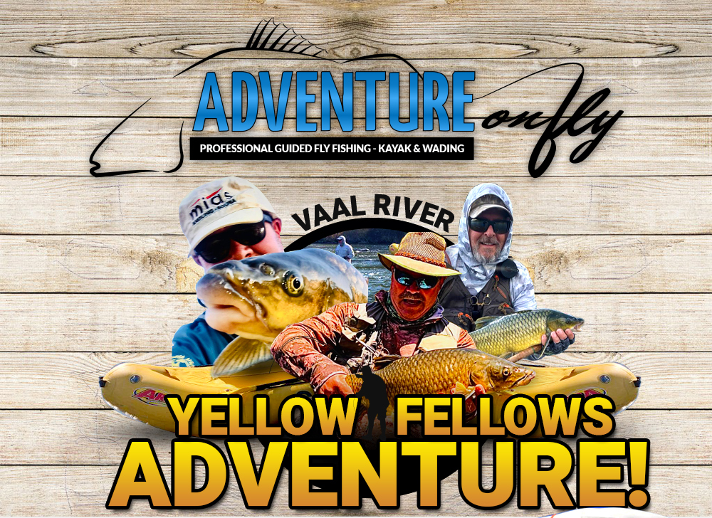 af-yellowfellow-adventure_01.jpg (774 KB)